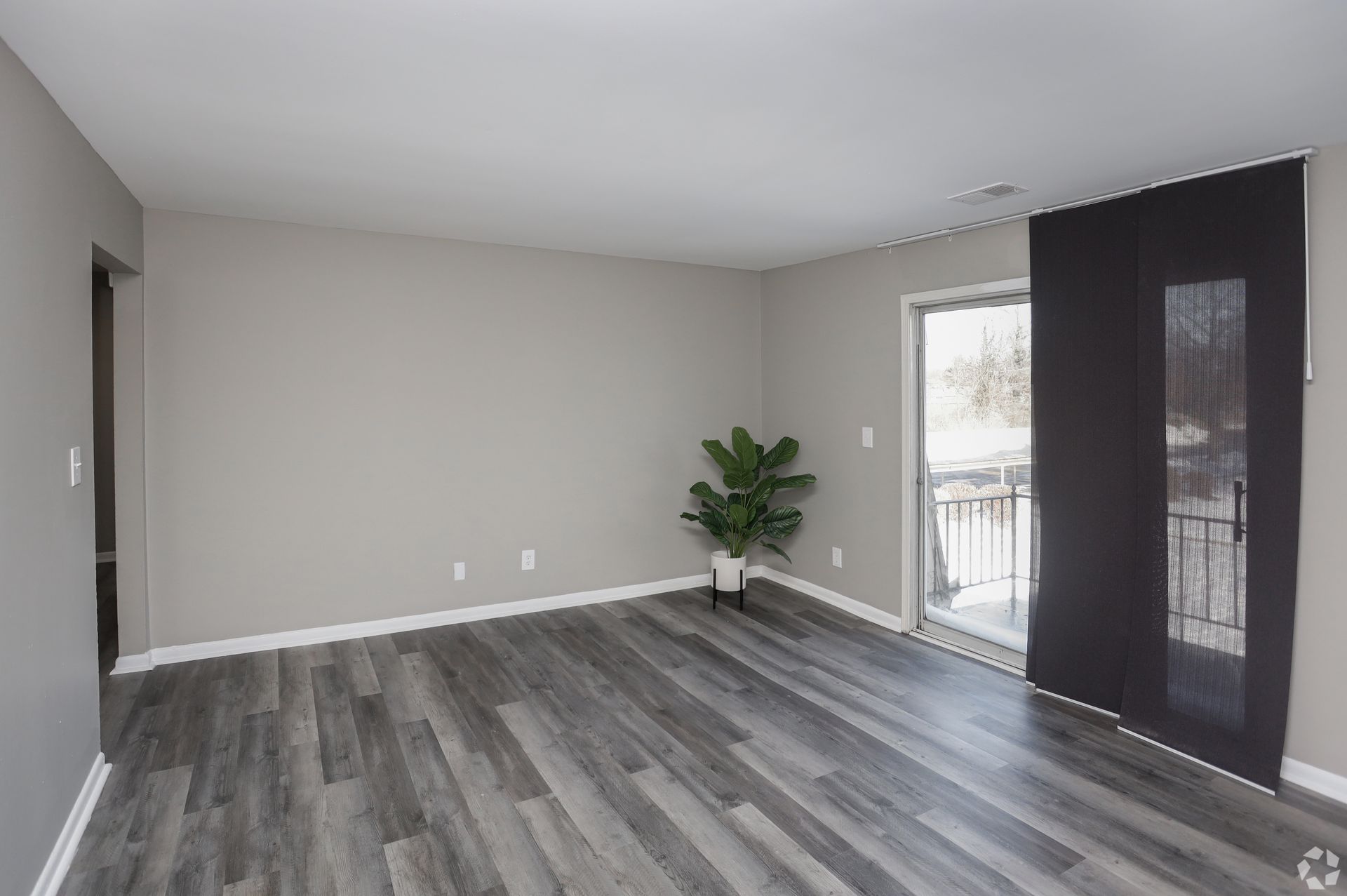Gray-walled room with gray wood-look flooring, sliding door, and large plant in a white pot.