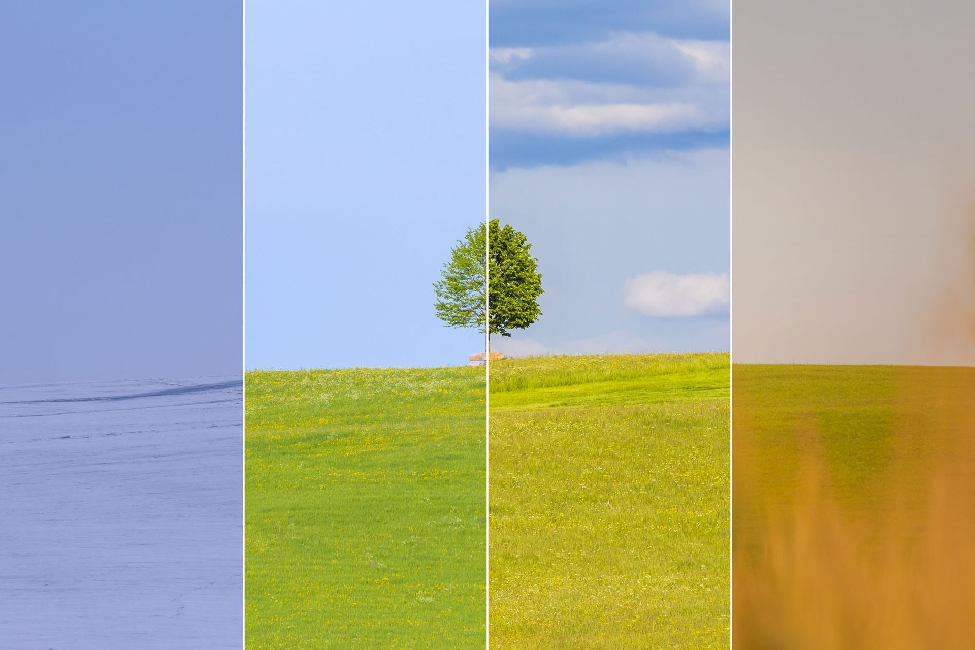 fasce climatiche