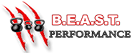 A logo for a company called b.e.a.s.t. performance