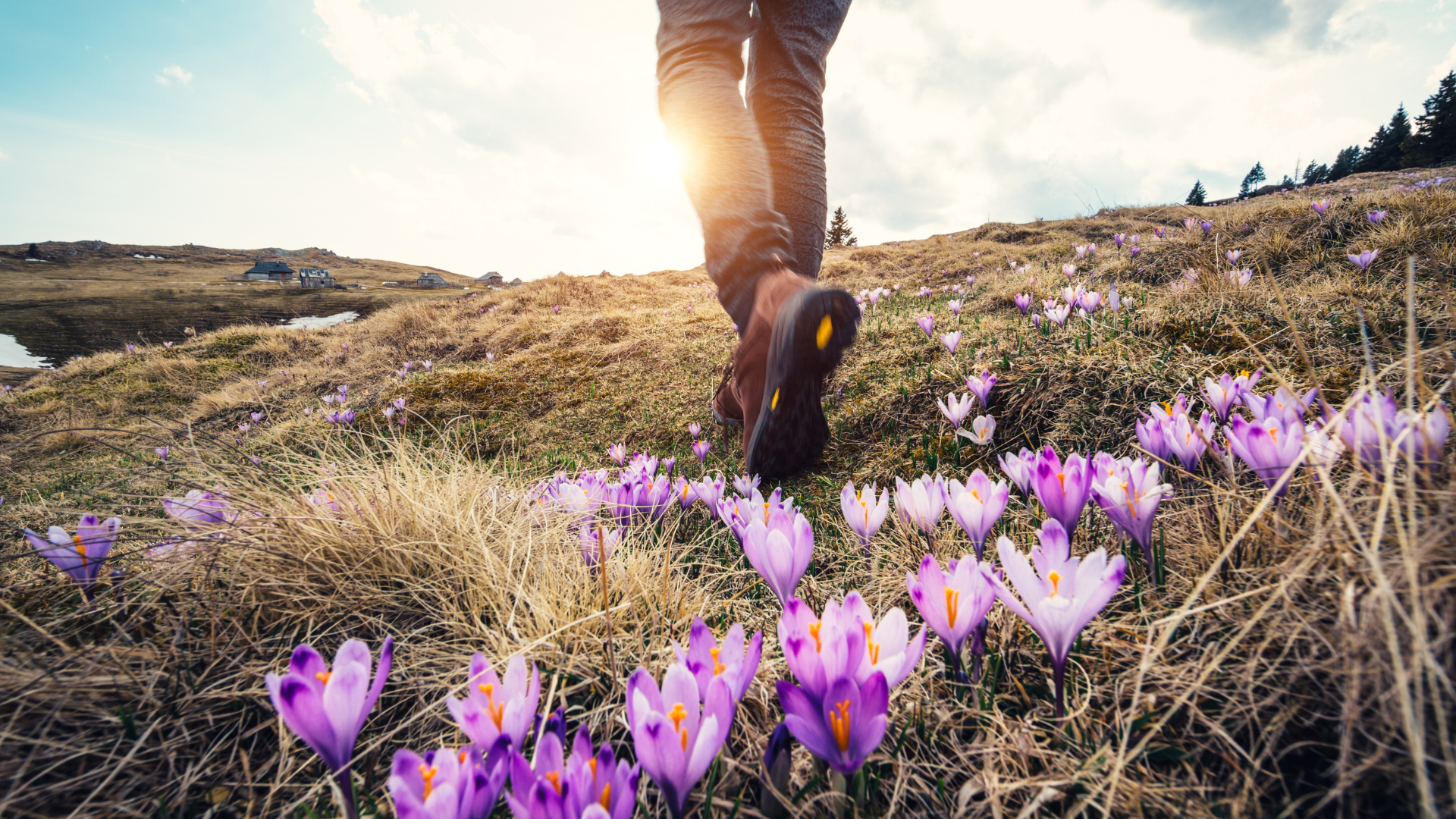 Spring Reset: 5 Self Care Ideas for Mental and Physical Wellness