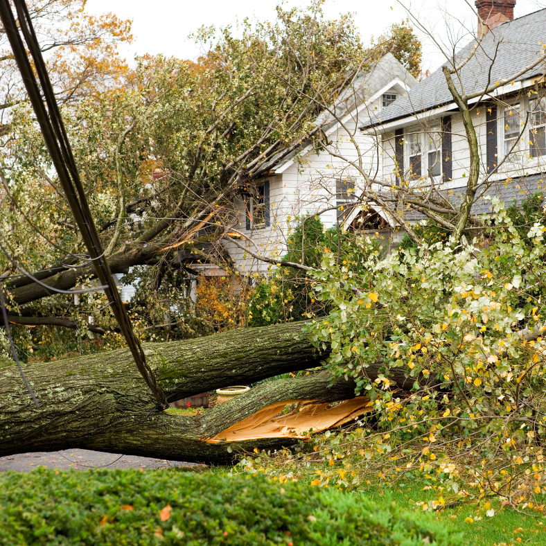 We buy homes with damaged roofs, foundation issues, or major damage.