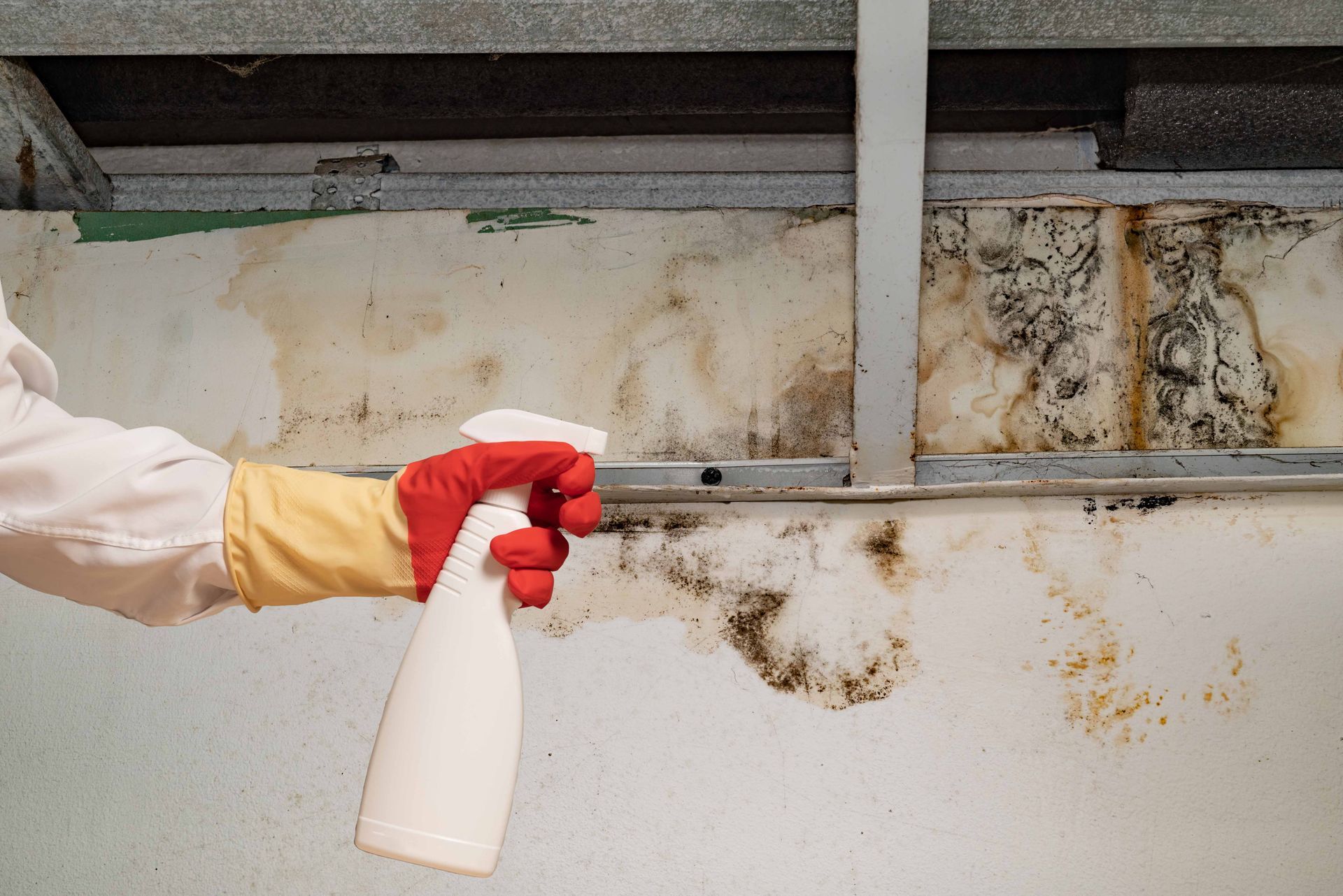 Person in protective gear sprays a moldy wall with a spray bottle, likely cleaning.