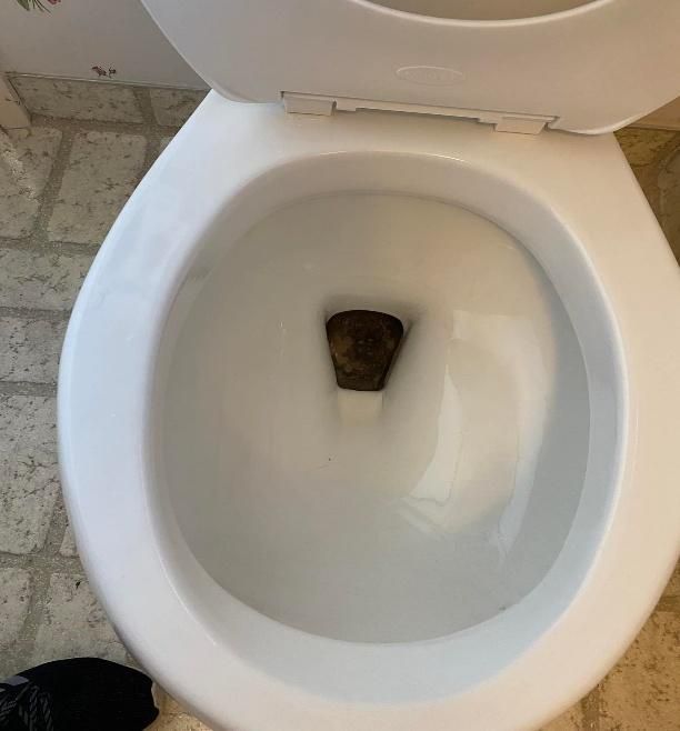 A white toilet bowl with brown solid waste in the center.