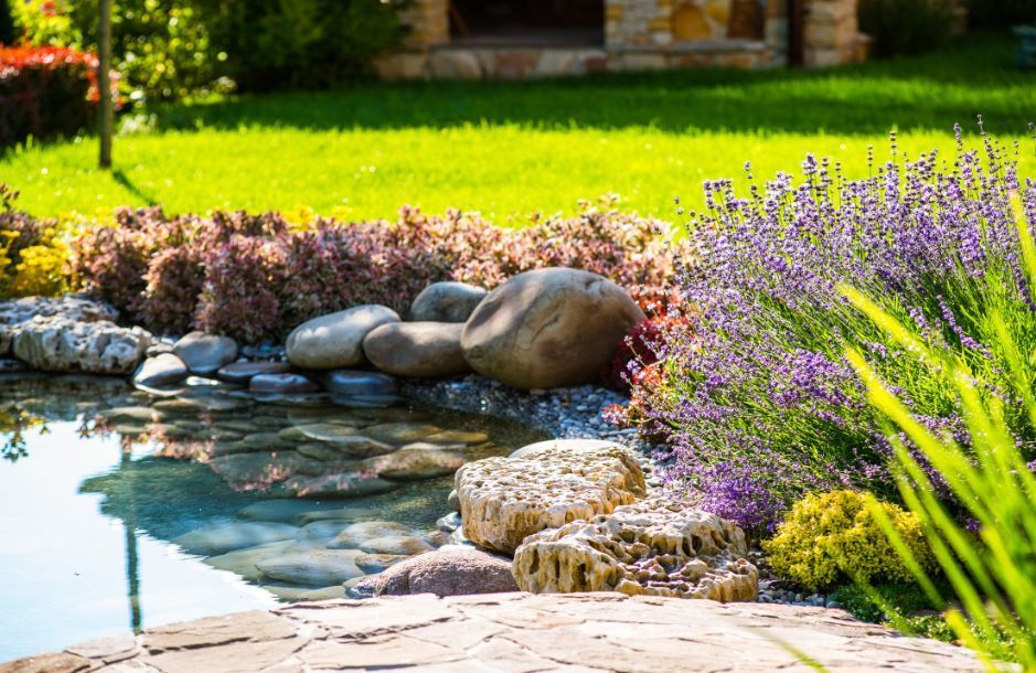 Reasons To Hire Professional HOA Landscape Management