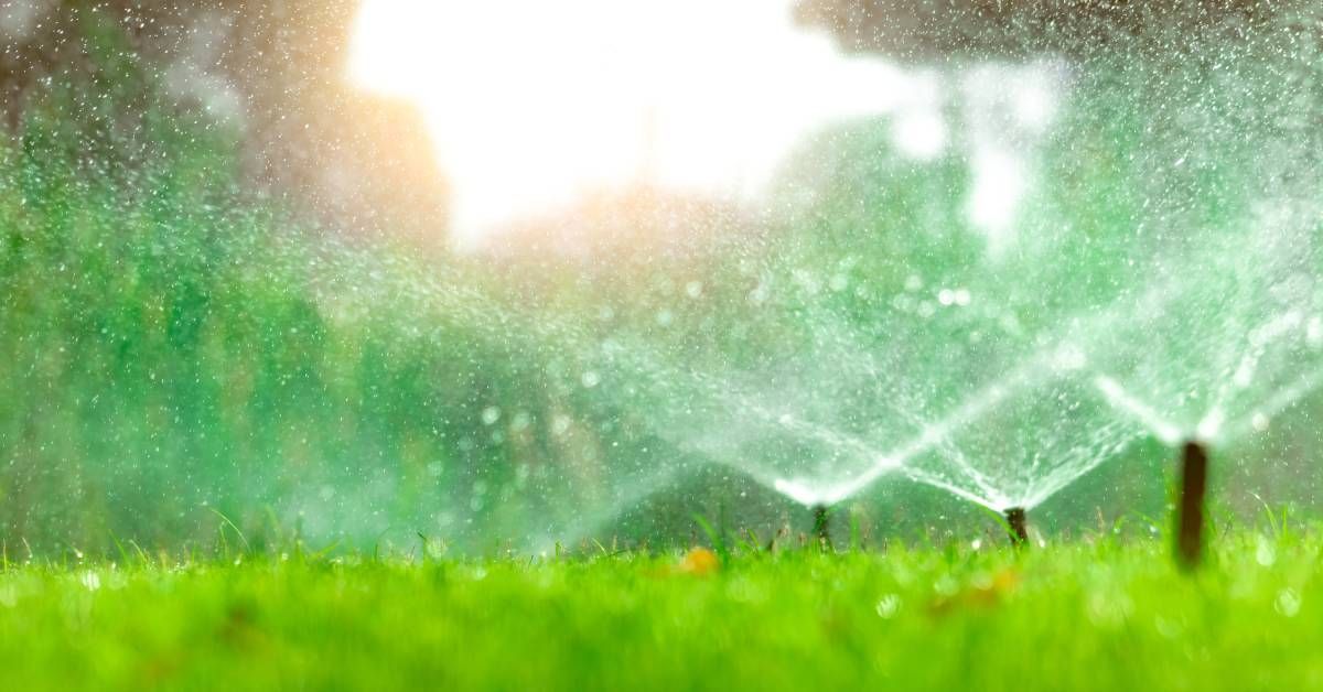 Three sprinklers from an irrigation system spraying water all over a green lawn. There are trees in the blurry background.