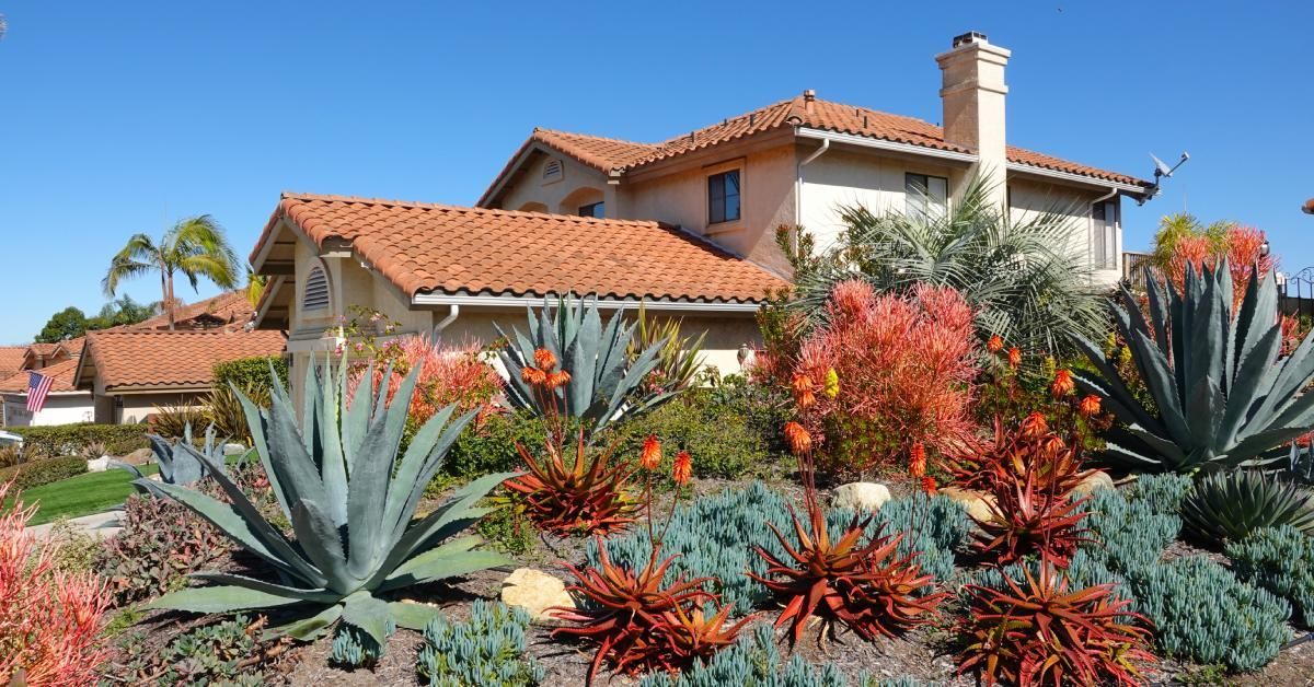 A close-up of drought-tolerant landscaping with local plants and mulch in front of a large Spanish-style home.