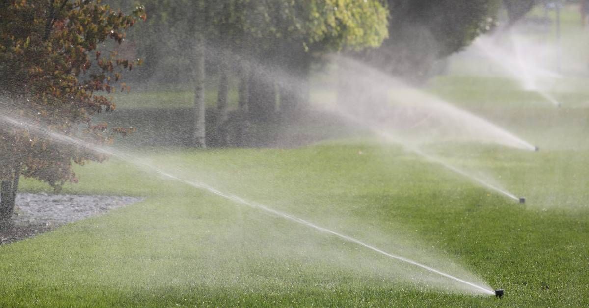 Closeup of a row of sprinklers in a landscaping irrigation system watering several trees and grass in a yard.