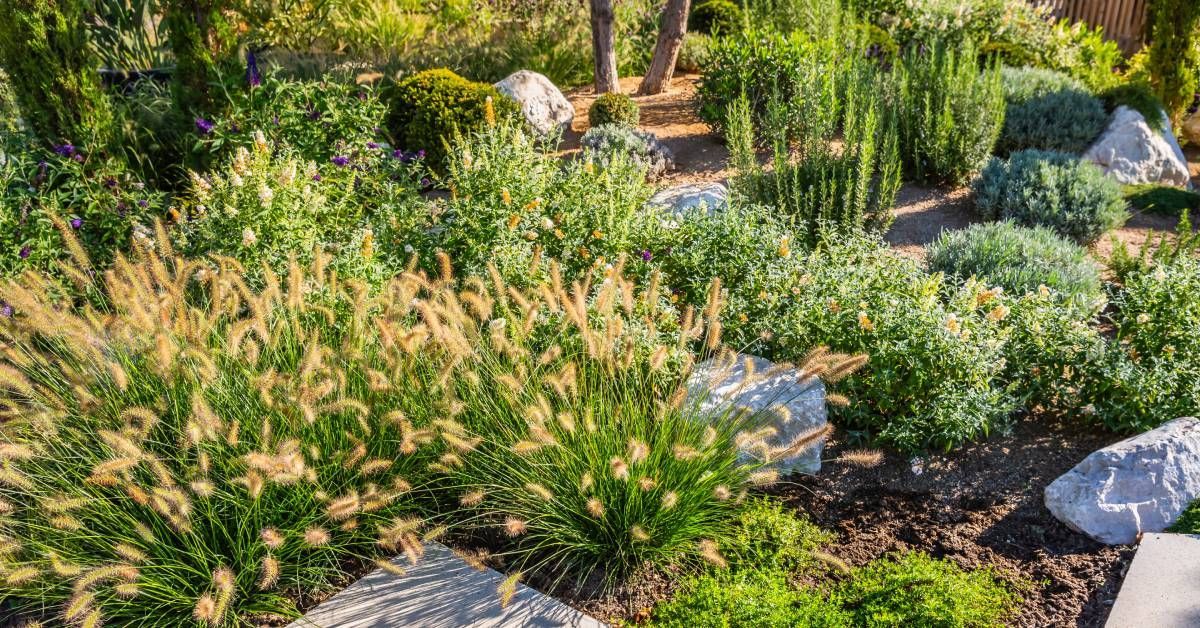 A landscaped garden with ornamental grasses, green shrubs, flowering plants, large rocks, and a stone pathway.