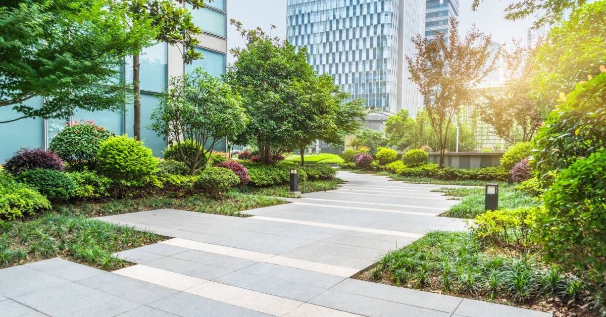 An outdoor path of a commercial building containing landscaping elements like plants and trees.