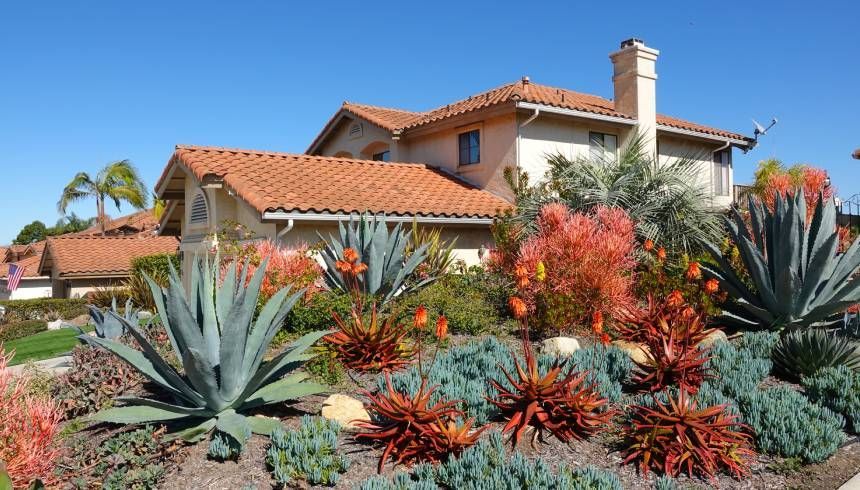 This beautiful Southern California home boasts a gorgeous landscape of drought-tolerant flowers and trees.