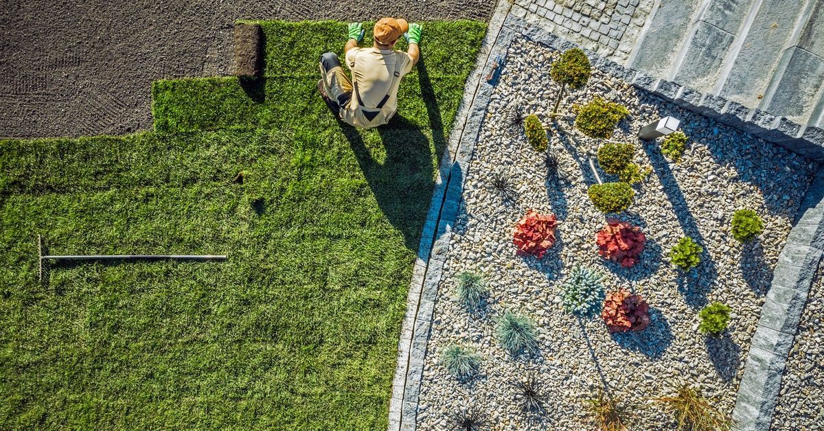 A professional landscape contractor laying sod down in a front yard next to a xeriscape area full of