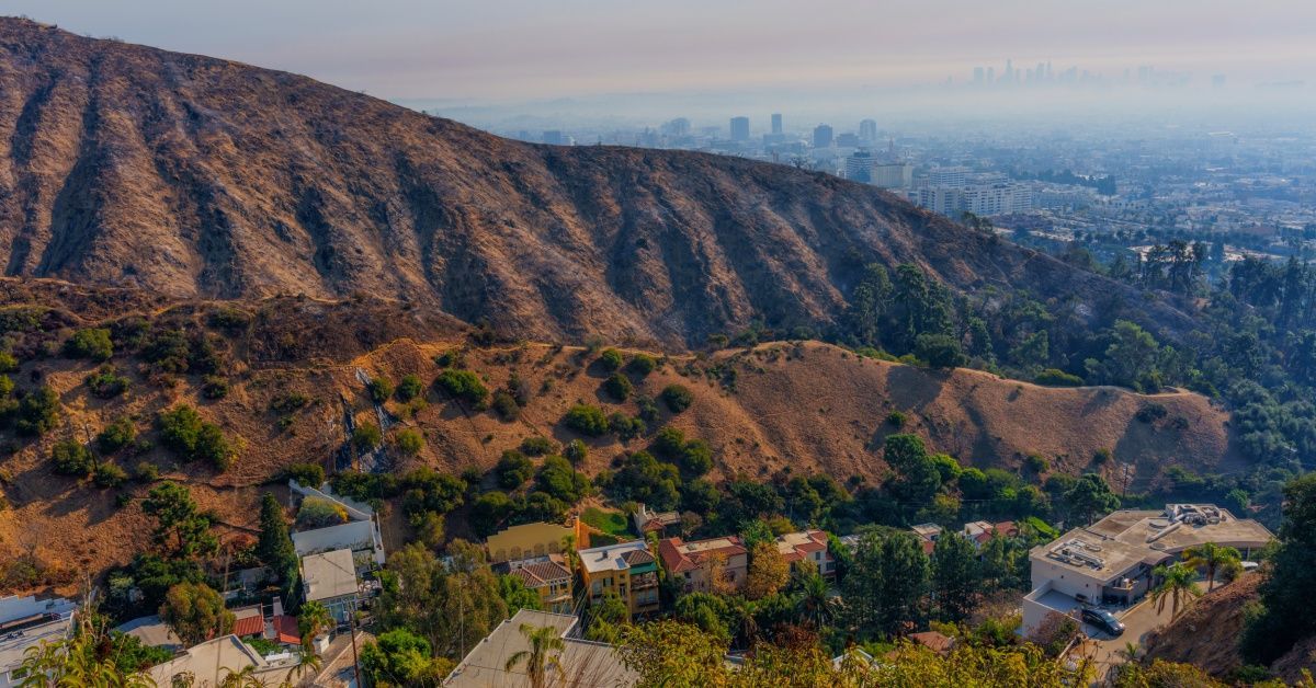 An aerial view of Runyan Canyon after being burned by a wildfire. The Los Angeles skyline is in the background.