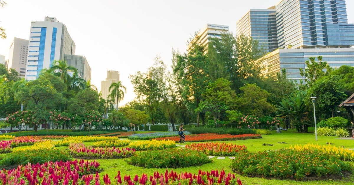 A city center with business buildings in the background of a nicely landscaped space. There are trees and flower patches.