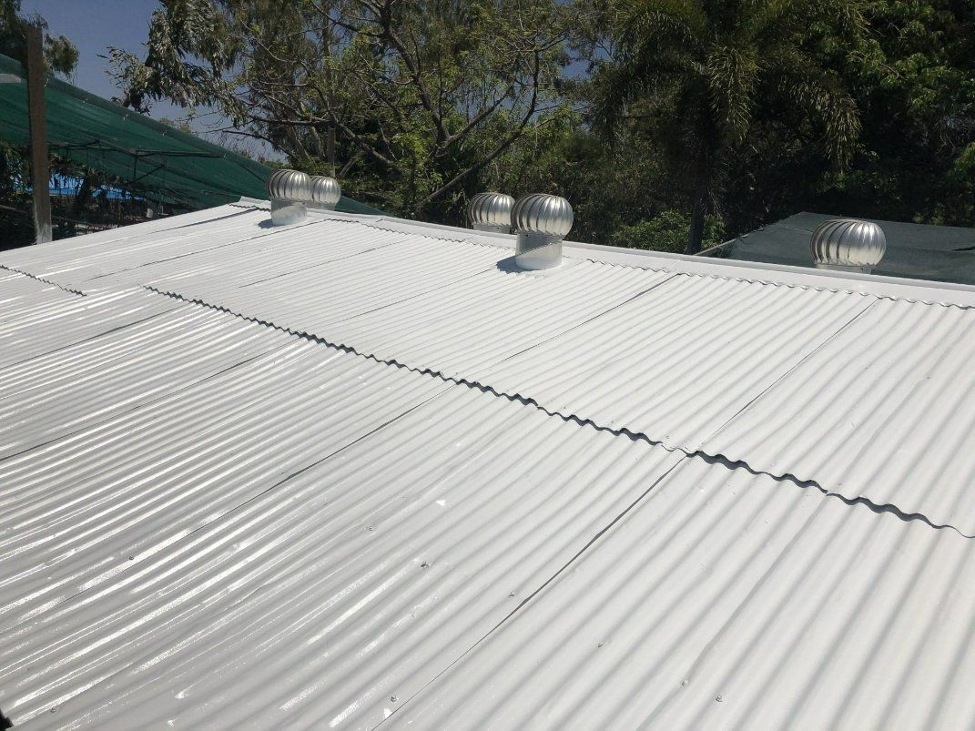 A White Corrugated Metal Roof with Trees in The Background — North West Queensland Painting in The Gap, QLD