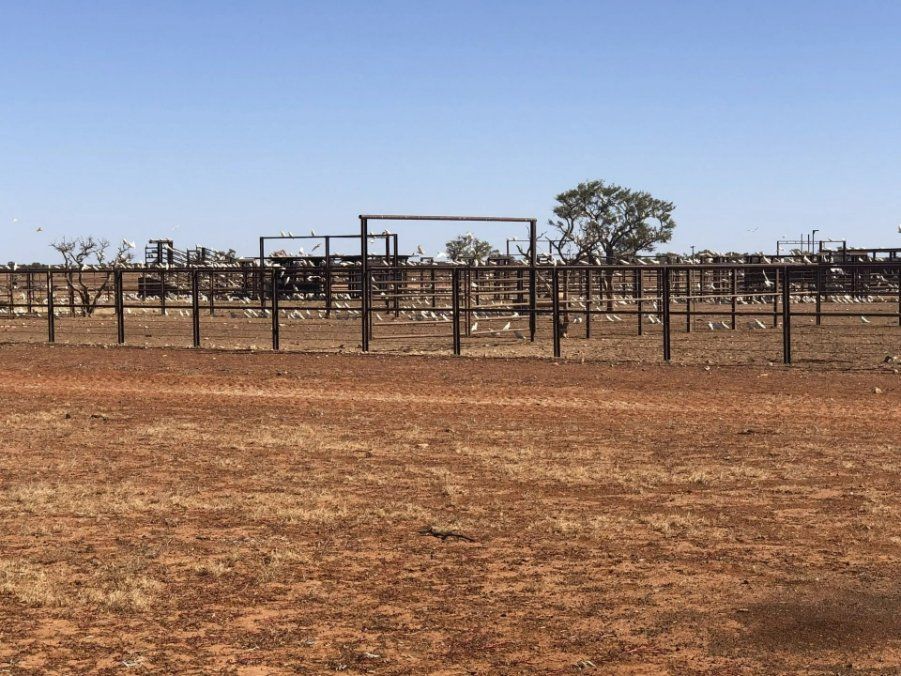 A Fenced in Field with A Blue Sky — North West Queensland Painting in Mornington Island, QLD