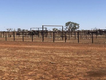 A Fenced in Field with A Blue Sky in The Background — North West Queensland Painting in The Gap, QLD