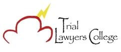 The trial lawyers college logo has a lightning bolt on it.