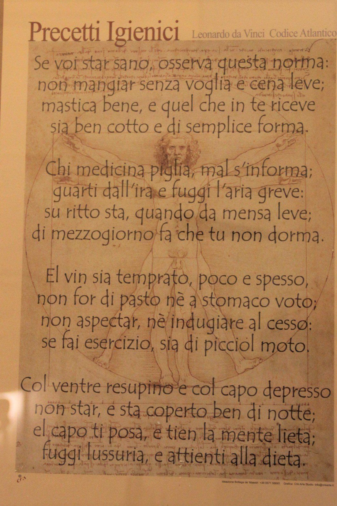citazione leonardo da vinci
