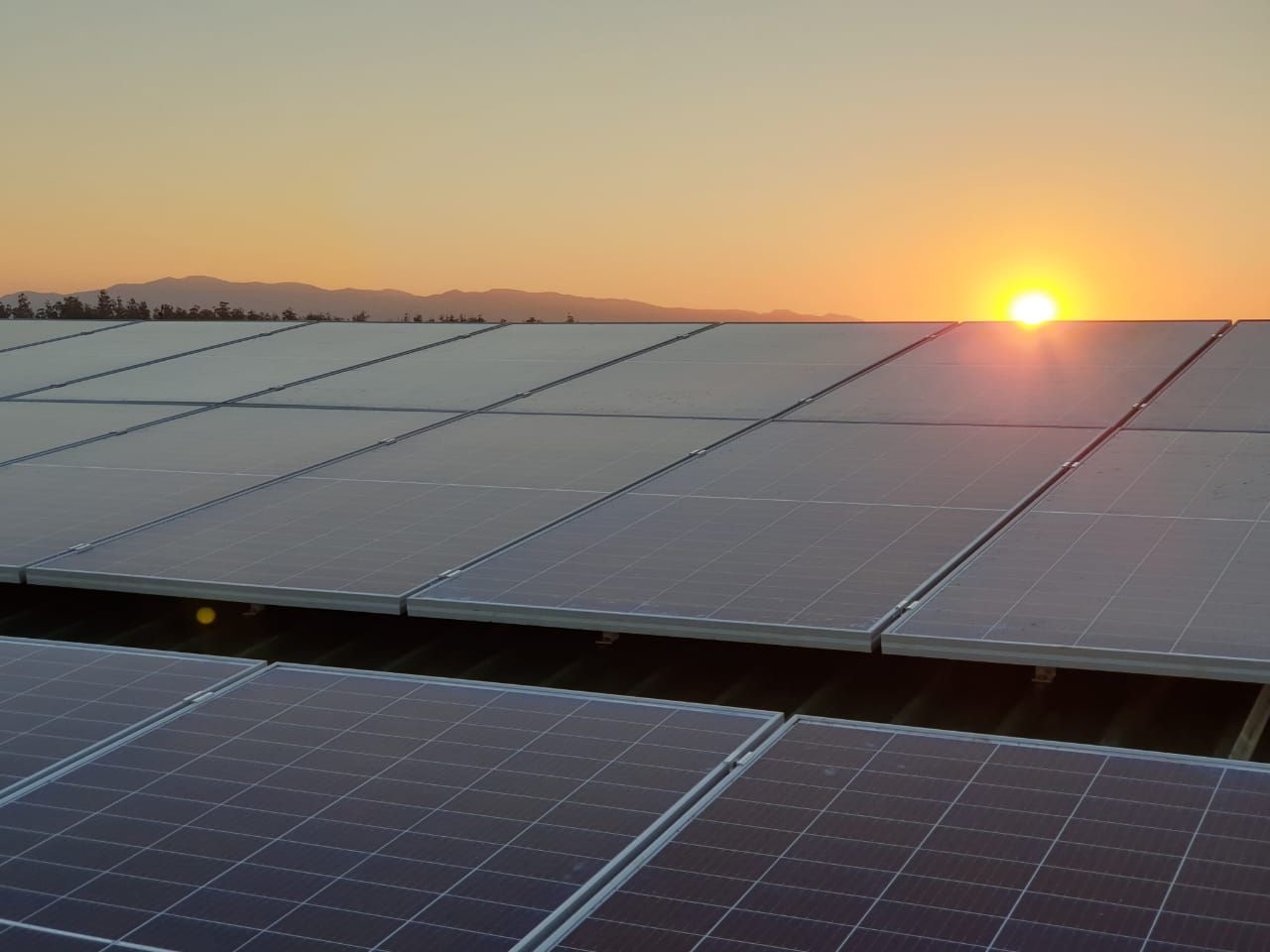 A field of solar panels with the sun setting in the background