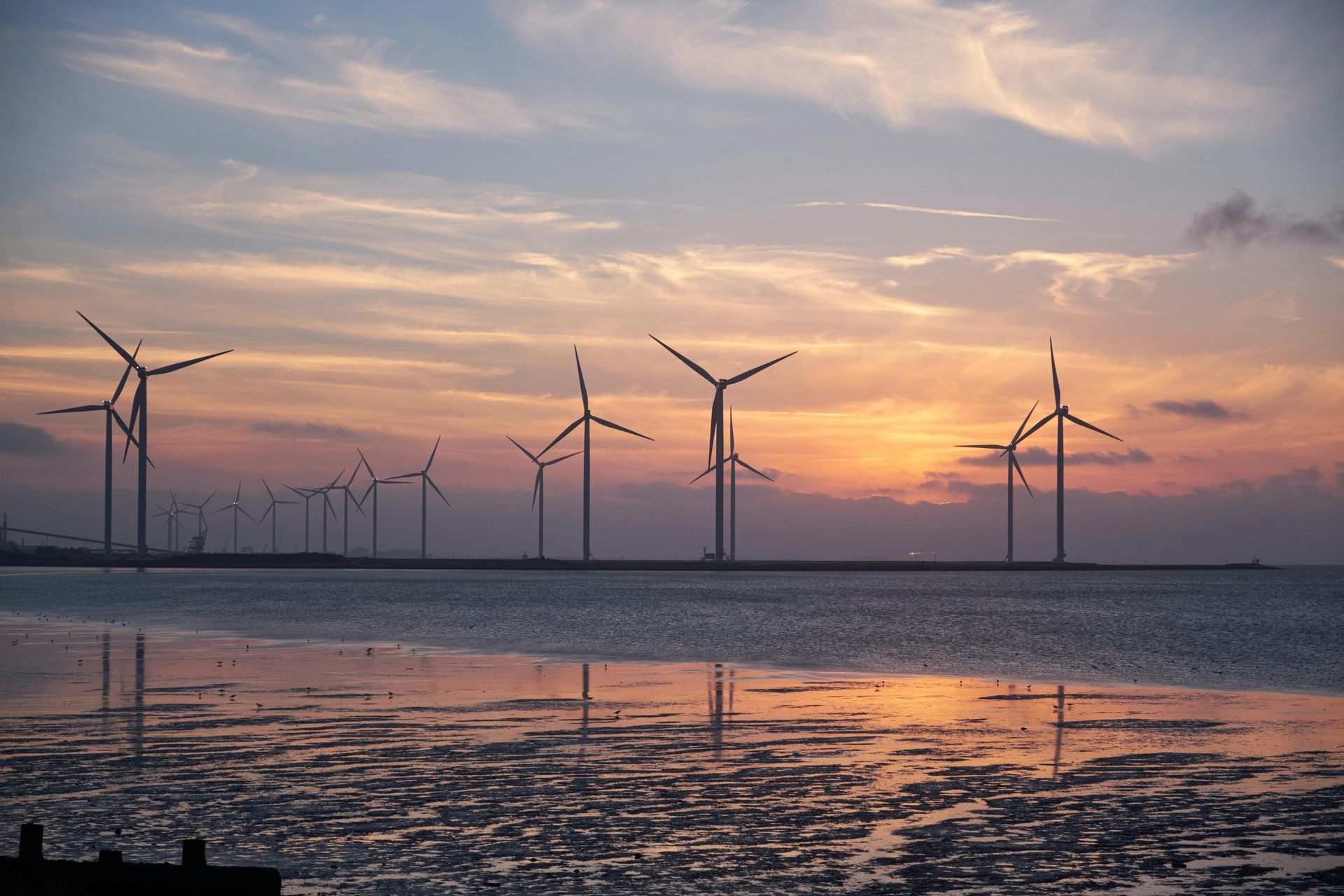 A row of wind turbines sitting on top of a body of water at sunset.