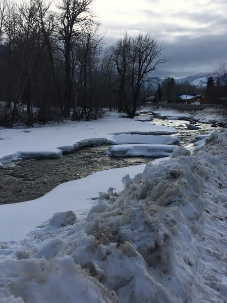 A snowy river with trees in the background