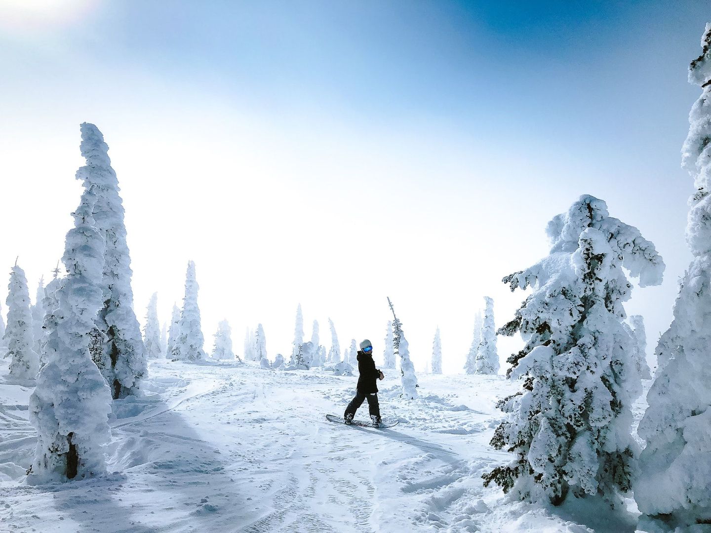 A person is skiing down a snow covered slope surrounded by snow covered trees.