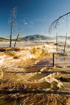 There are trees in the background and mountains in the background.