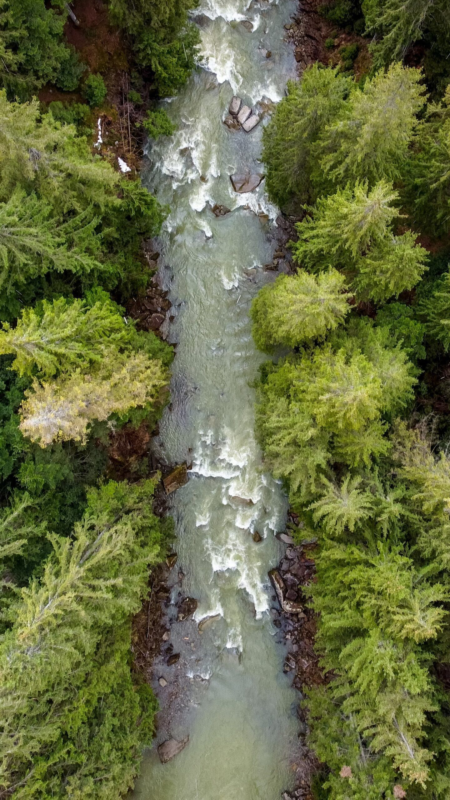 An aerial view of a river flowing through a lush green forest.