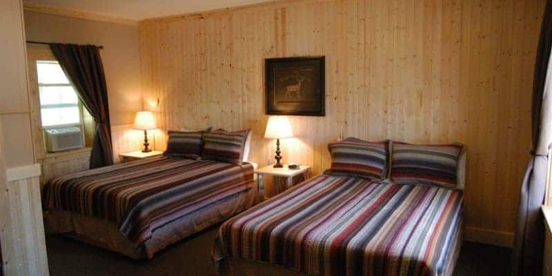 A hotel room with two beds and two lamps.