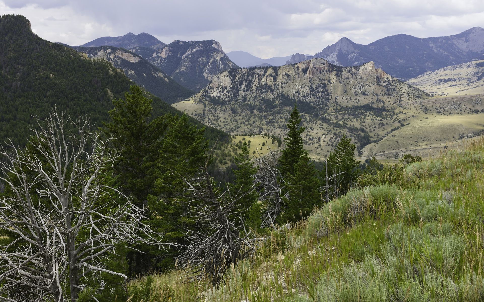 A mountain range with trees and grass in the foreground