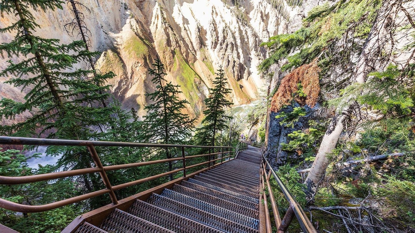 A set of stairs leading down a mountain surrounded by trees.