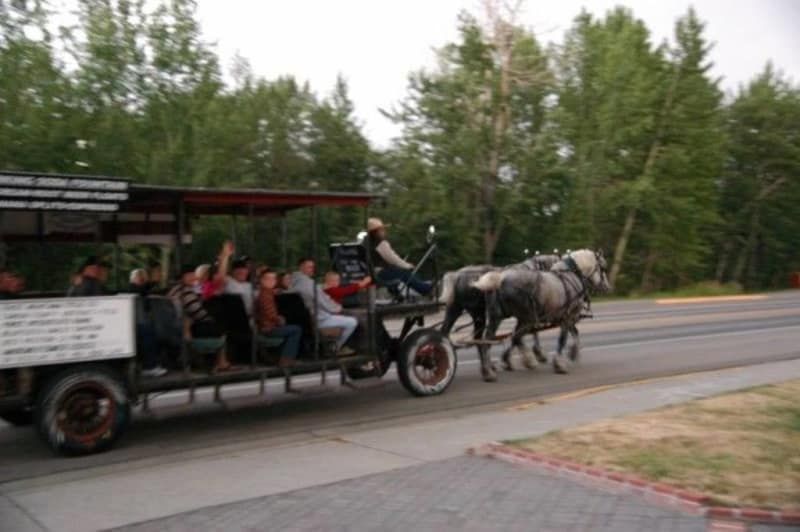 A horse drawn carriage carrying people down a street