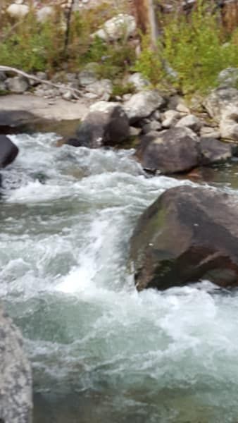 A river flowing through a forest surrounded by rocks and trees.
