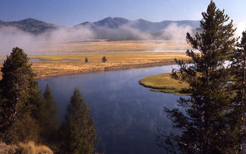 A river with mountains in the background and trees in the foreground