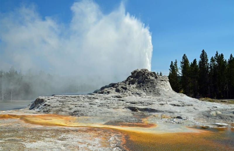 A geyser is erupting into a body of water in the middle of a forest.