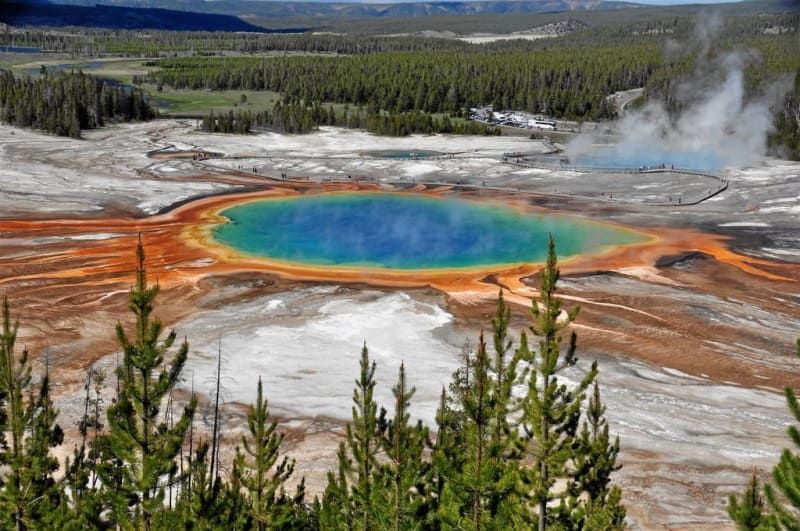 A large colorful lake in the middle of a field surrounded by trees.
