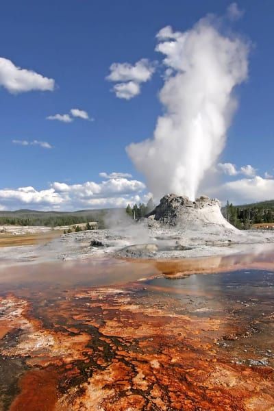 A large geyser is erupting in the middle of a field.
