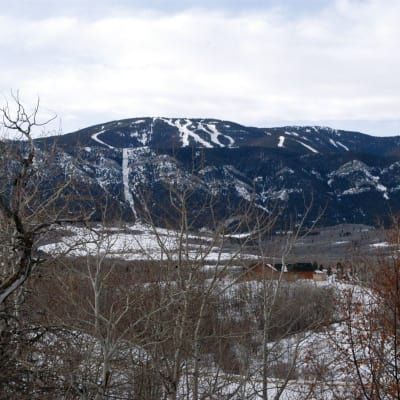 A snowy mountain with a few trees in the foreground