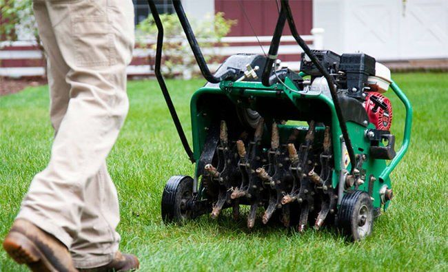 Petrol Lawn Aerator