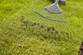 gardener-march-scarifying-lawn-rake