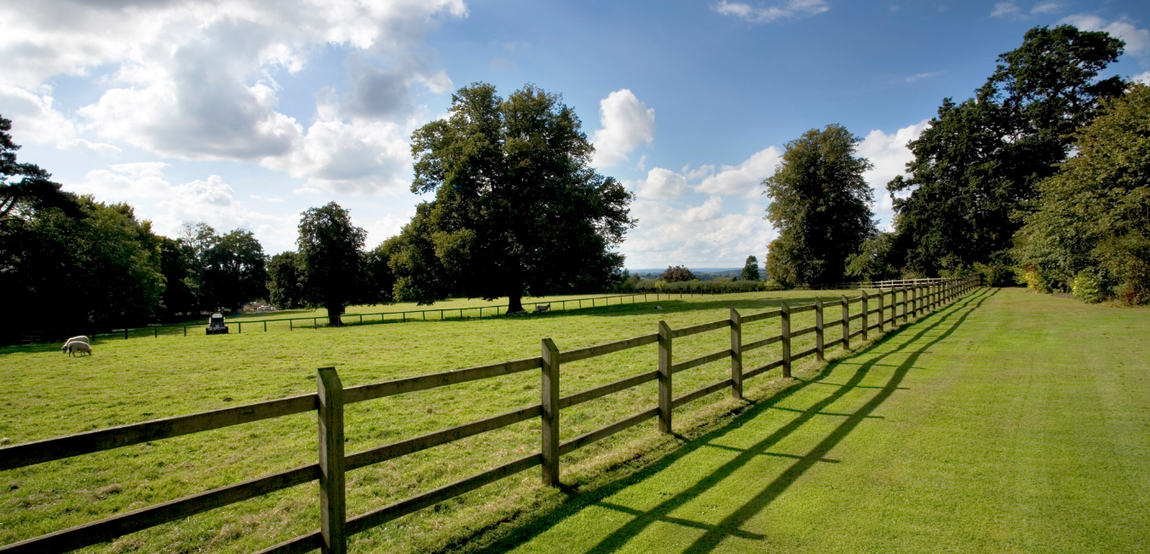 agricultural-stock-farm-fencing-march-cambs