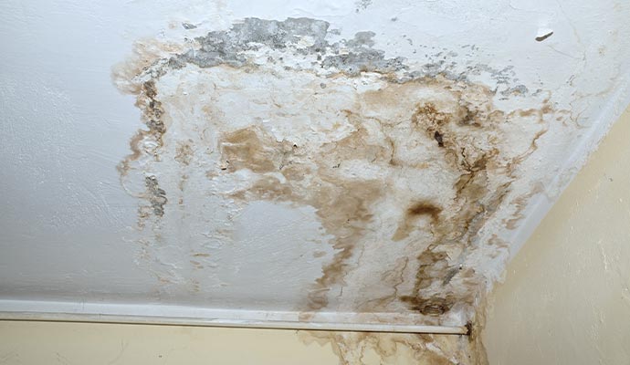 Mold on white ceiling from water leak damage