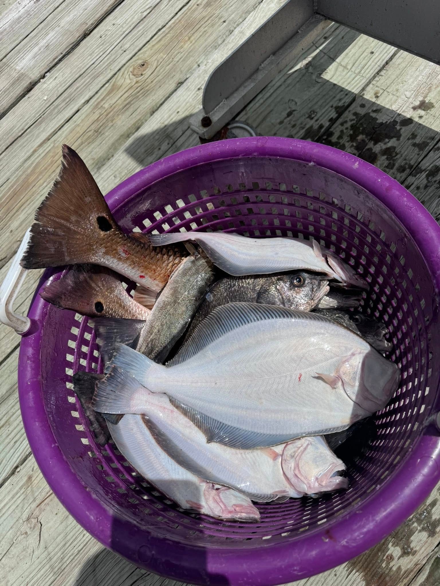 A purple basket filled with fish is sitting on a wooden deck.
