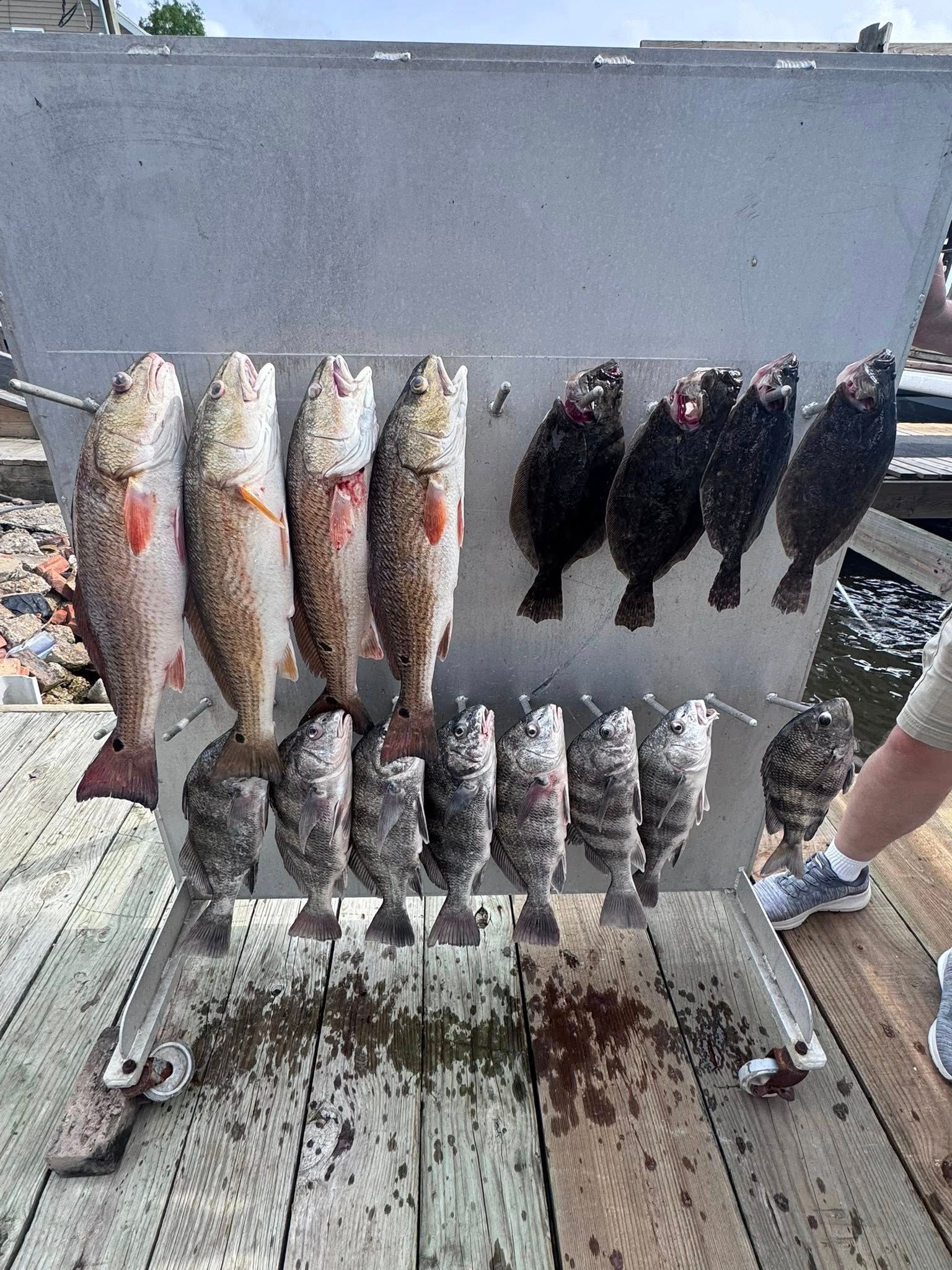A bunch of fish are hanging on a rack on a dock.