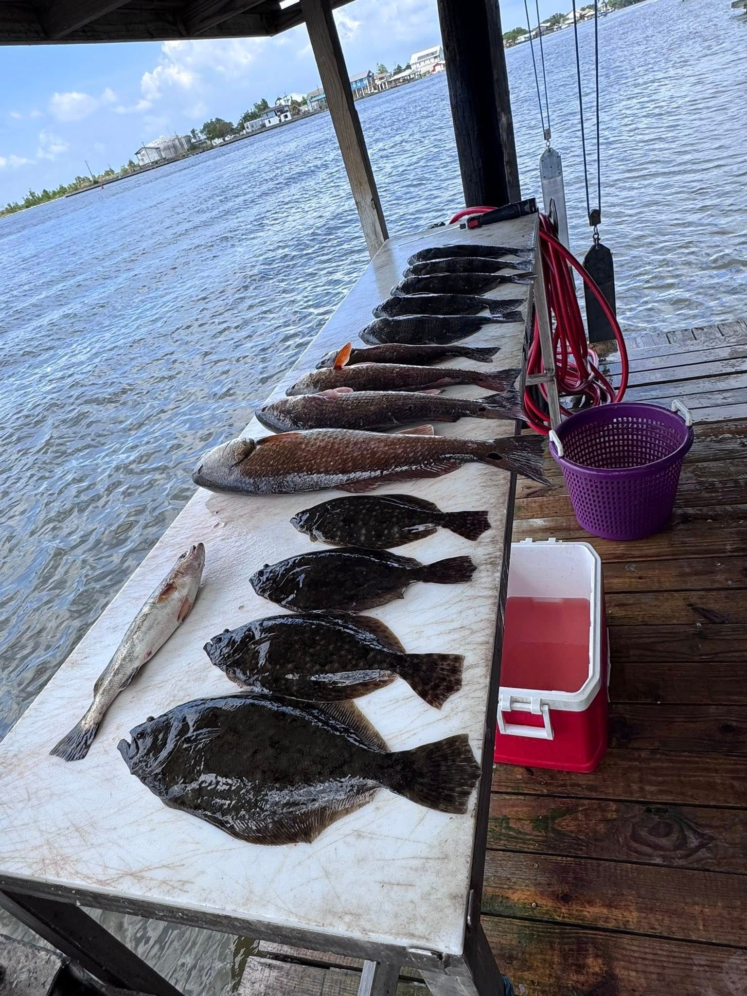A row of fish sitting on top of a cutting board next to a red cooler.