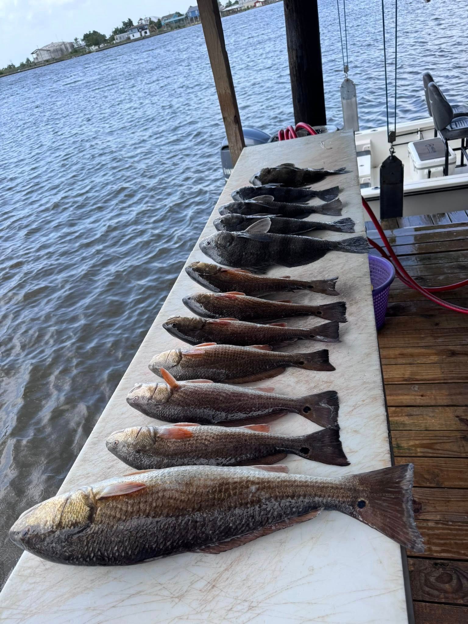 A row of fish sitting on top of a cutting board next to a body of water.