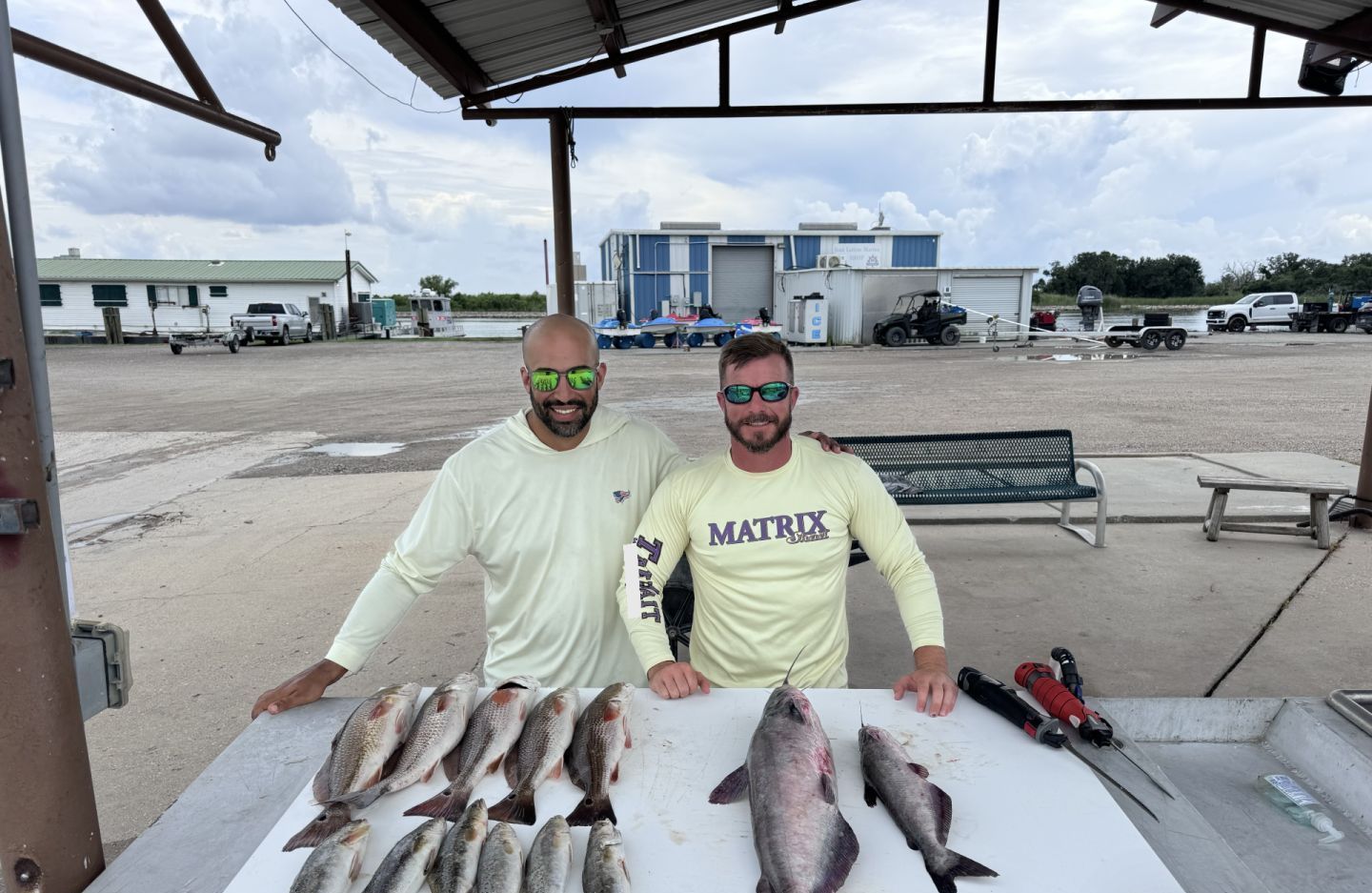 A pile of fish is sitting on the deck of a boat.