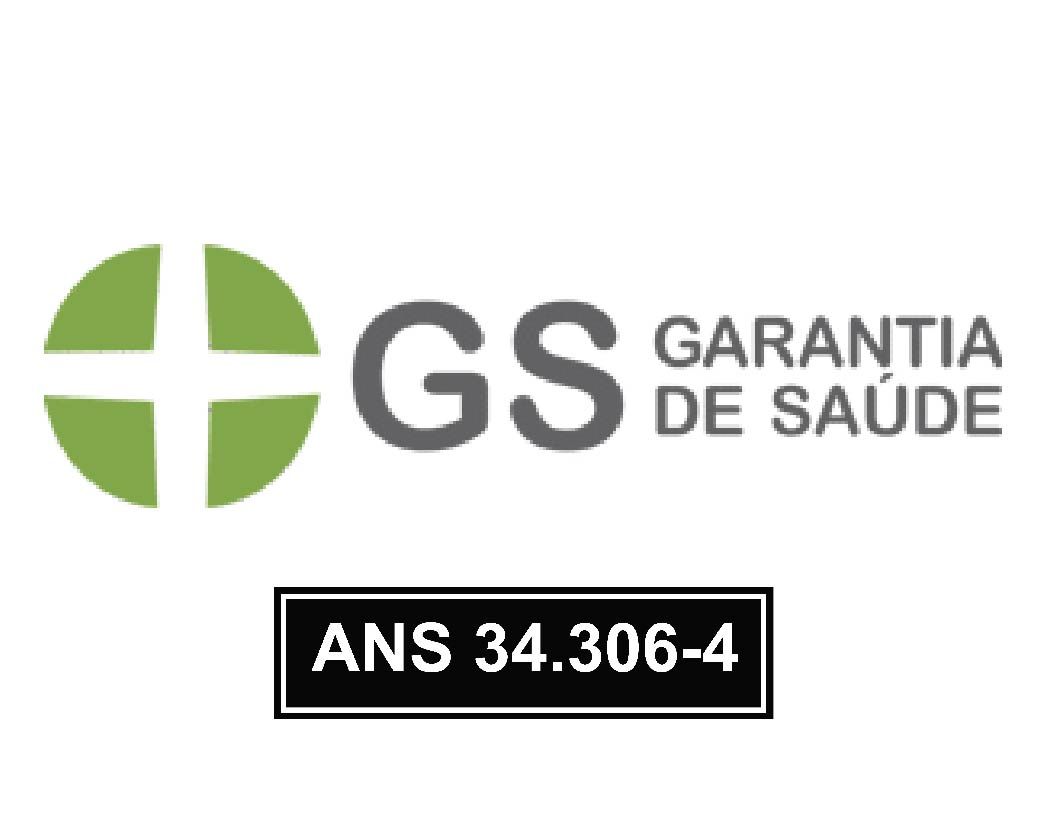 Logotipo da GS