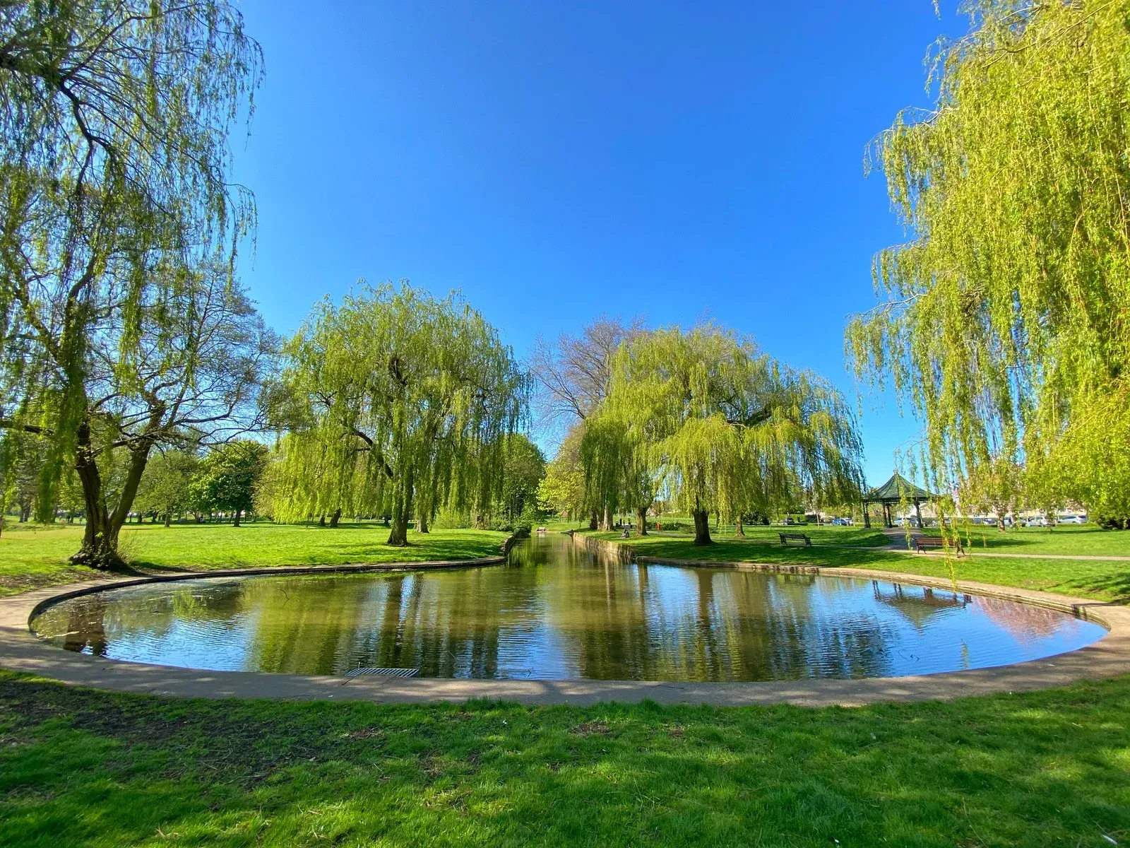 Park scene with pond, trees, and bright blue sky. Green grass surrounds the water.
