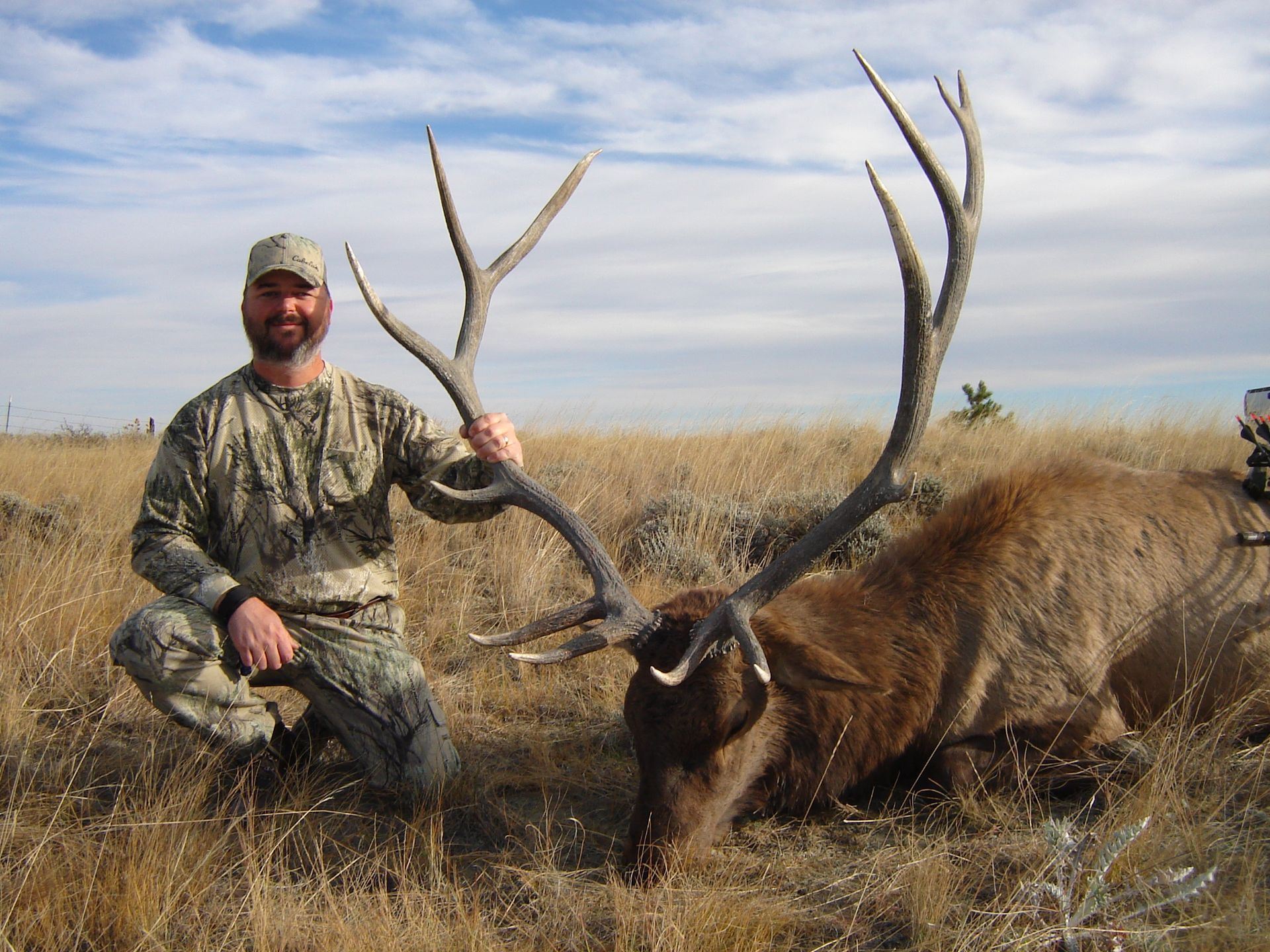 Elk Hunting